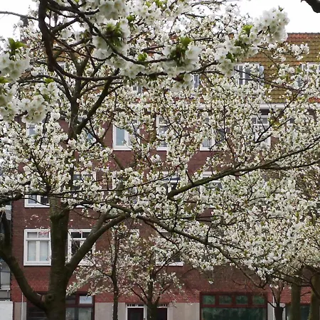 Legmeerplein